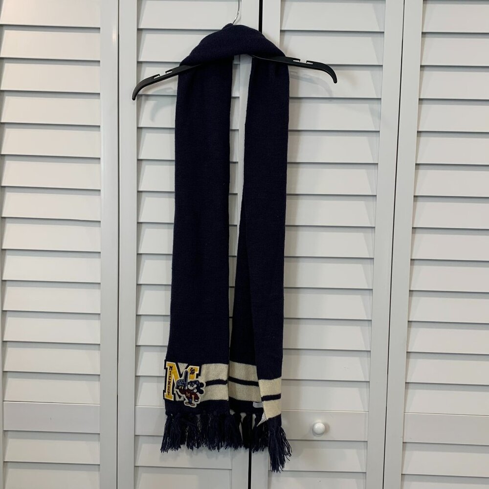 Long disney scarf